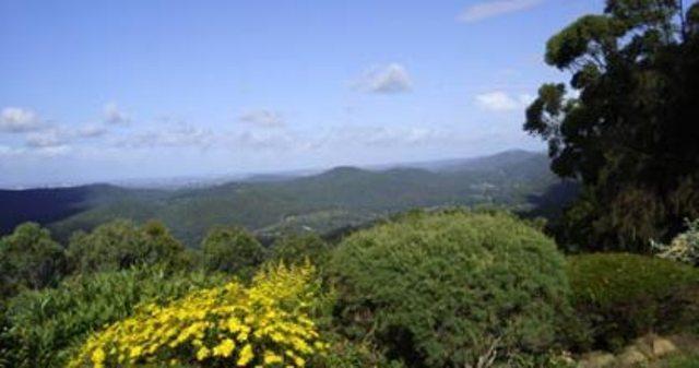 Hillside Country Retreat Bed and Breakfast Gold Coast Esterno foto